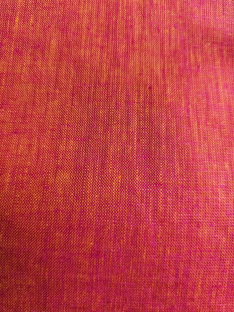 Fuchsia: bl-22 (copy)