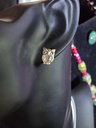 Owls
