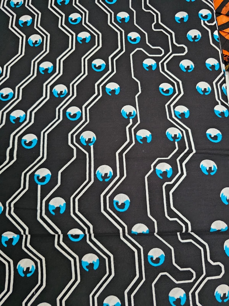 micro cosmos