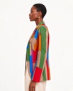 Rahizi multicolore
